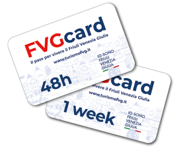 fvg card